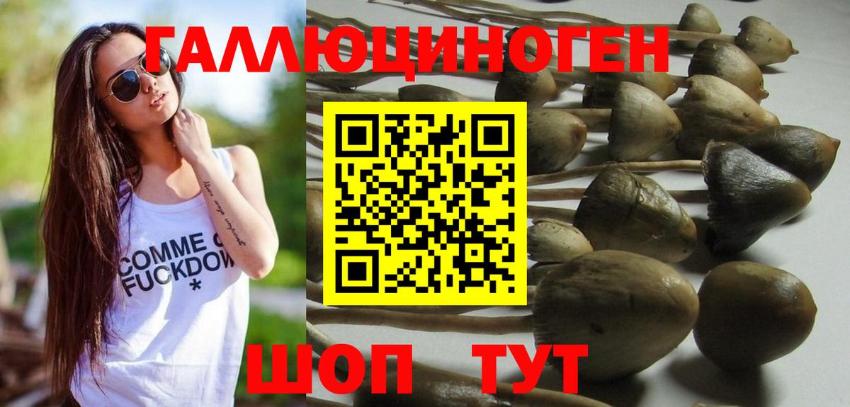Галлюциногенные грибы Psilocybe Нефтекамск