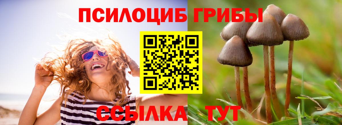 Нефтекамск  Галлюциногенные грибы Magic Shrooms  Вход с VPN 